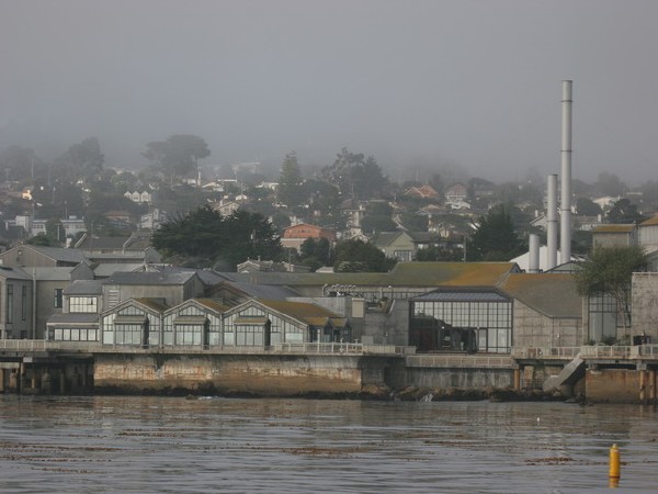 Monterey Aquarium